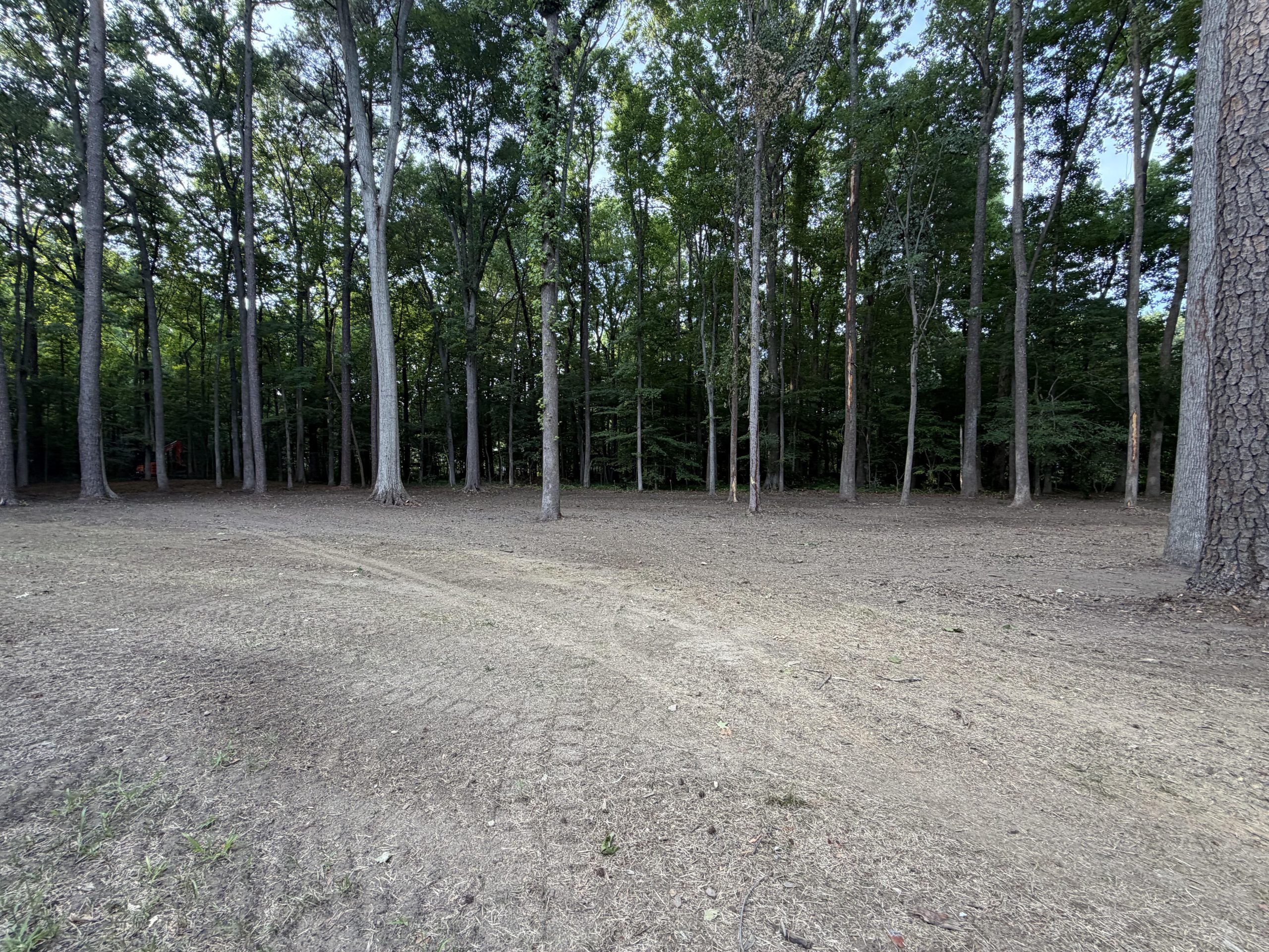 Cleared wooded lot with a path opened through the trees, Sturtz Contracting land clearing