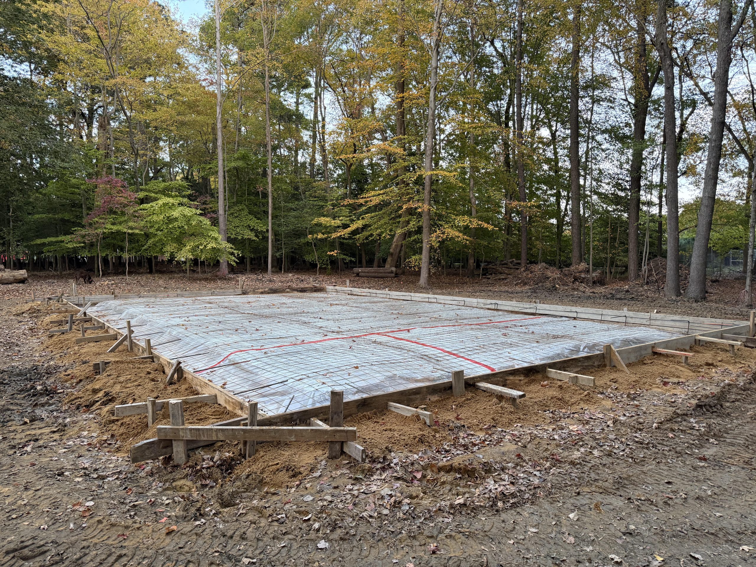 Concrete slab foundation poured with rebar in a wooded lot